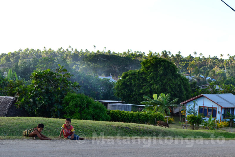 Faleloa village - before and after Cyclone Ian | Matangi Tonga