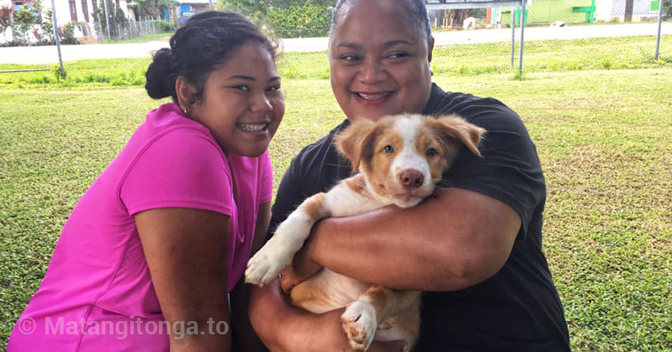 🐶MANGE 🐶 If you have a dog - Tonga Animal Welfare Society