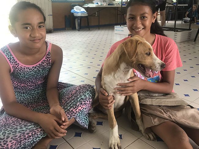 🐶MANGE 🐶 If you have a dog - Tonga Animal Welfare Society