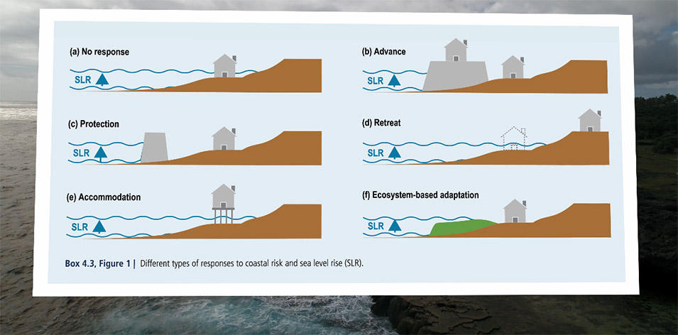 sea level rise response