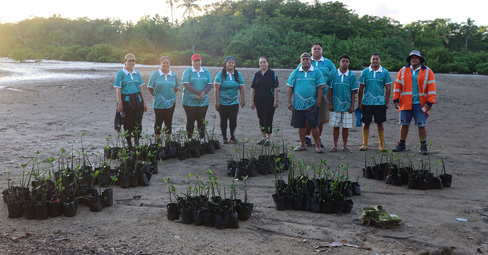 Tree planting