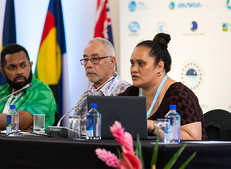 Pacific urged to fast-track clean energy transition amid fuel crisis