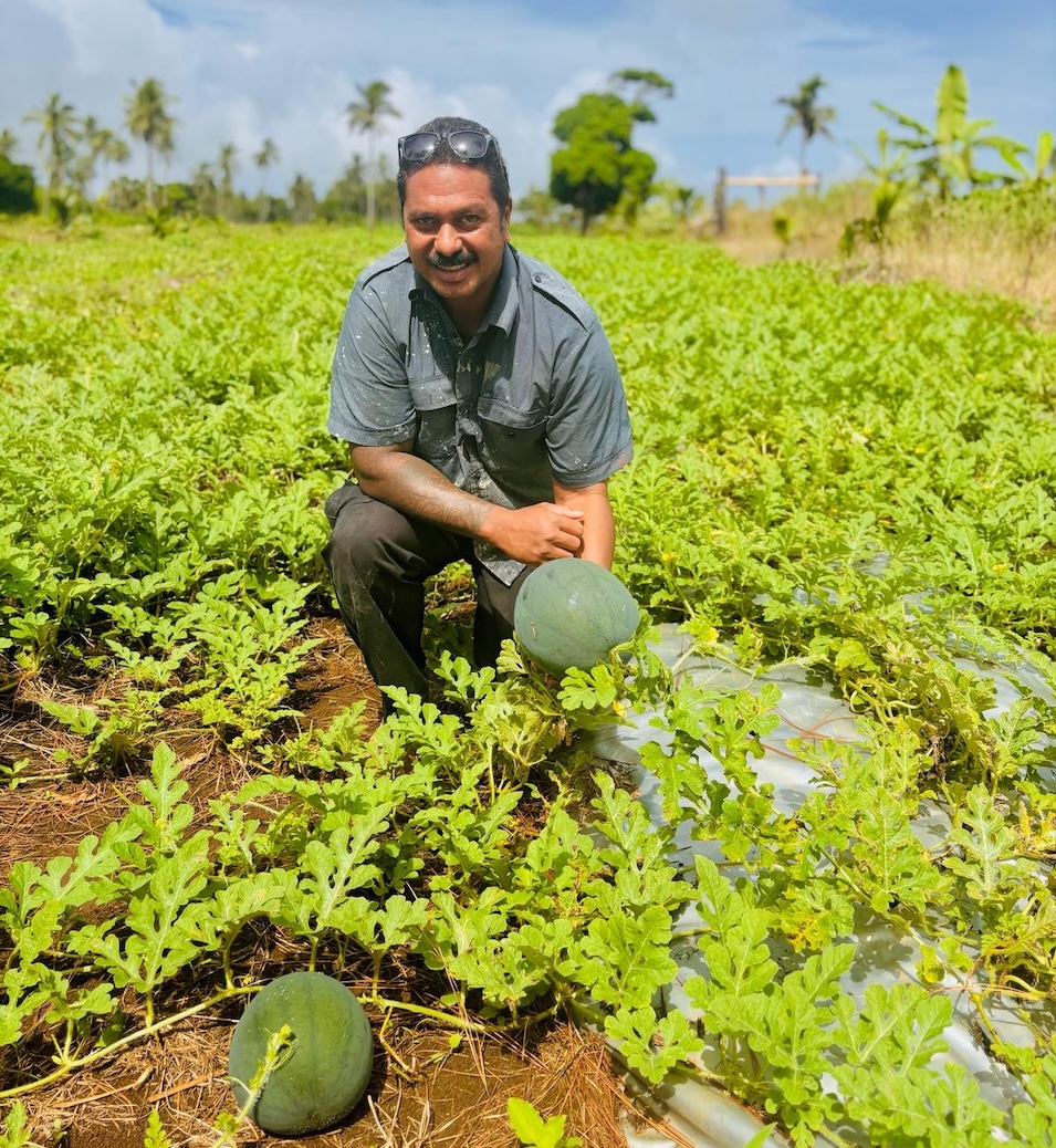 Strengthening Tonga’s watermelon export pathway