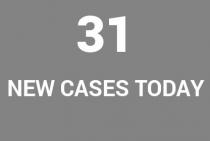 COVID 31 cases
