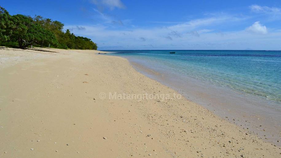 Tonga's Minister of Tourism, Hon. Mo'ale Finau is stranded in Ha'apai along with at least 69 visitors who currently have no way out, after Tonga's Civil Aviation Division (CAD) suspended the Lulutai Airlines Ltd. domestic operations of two small aircraft, citing safety reasons, on Friday, 18 July. Hon. Finau told Matangi Tonga this afternoon that he does not yet know how many
