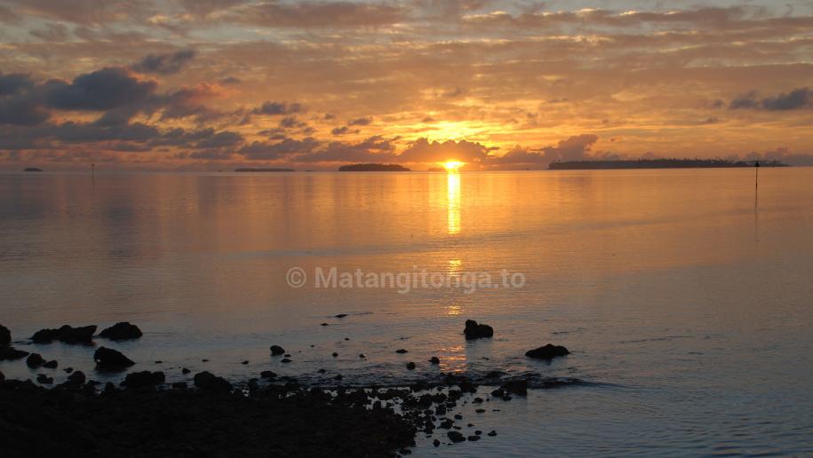 tonga tourism industry